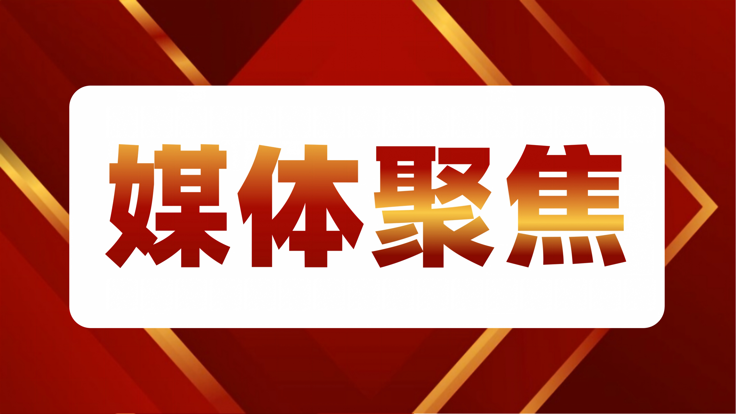 ý��۽�حƽ������45�죡���ϸ�Ч���֪ʶ��Ȩ������һ���¡���ʽ����